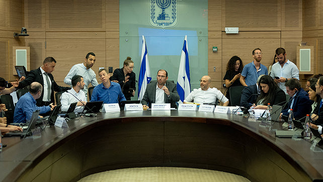 רוטמן ועדת חוקה עילת הסבירות 11.7.23 F230711YS36