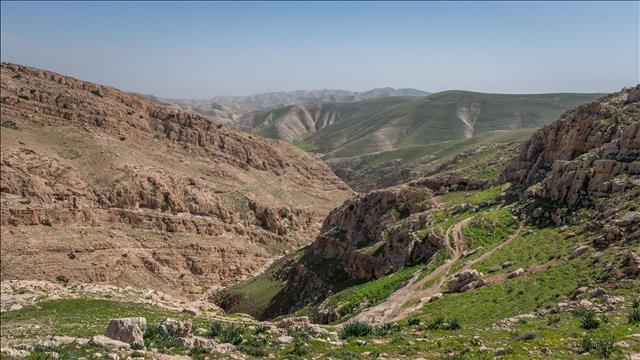 טבע, שמורת טבע, נחל, ואדי, מדבר יהודה