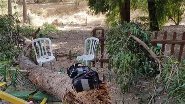 עף עץ שקרס על ילד וגרם למותו בפארק לכיש, יולי 2019