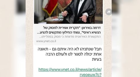 יו"ר הוועד המנהל של אוניברסיטת ת"א התייחס לדיווחים על התרסקות ראיסי: "חבל שנתניהו לא היה איתם"