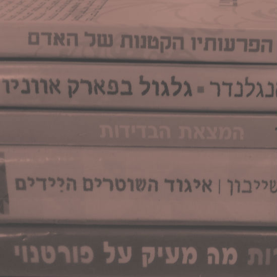 חמישה סופרים אמריקאים יהודים