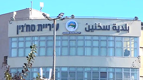 חוליה מסכנין