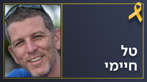טל חיימי