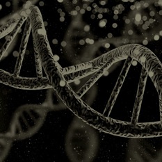 DNA