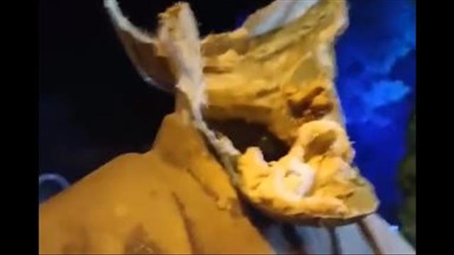 מפגינים הורידו את ראשו של חומייני מפסל