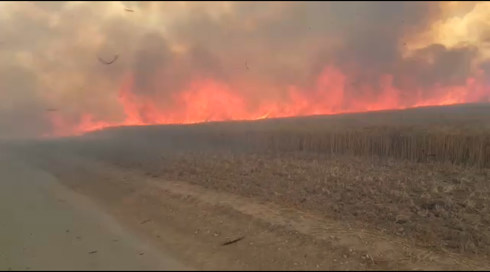 בתוך שעות: עשרה עפיפונים ובלוני תבערה מעזה הציתו שריפות במערב הנגב