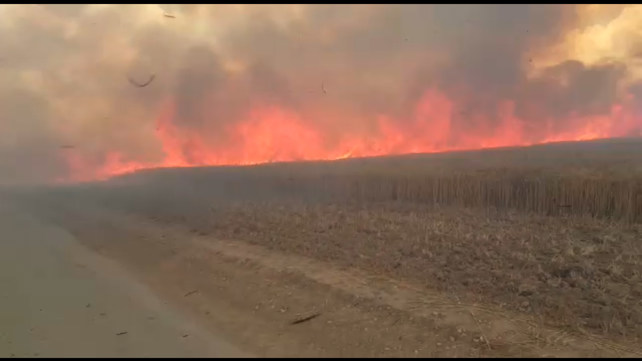 שריפה בשער הנגב