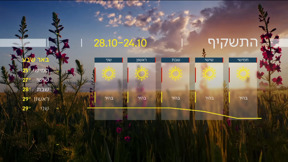 התחזית