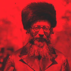 cat18669_img258979420.jpg