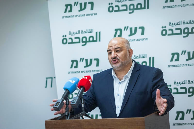 מנסור עבאס, מפלגת רע"ם
