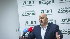 מנסור עבאס, מפלגת רע"ם