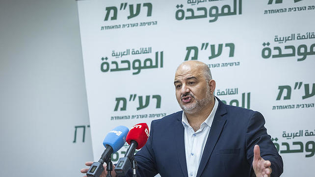 מנסור עבאס, מפלגת רע"ם