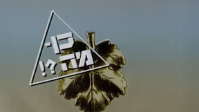 !?כן - מה | פתיח