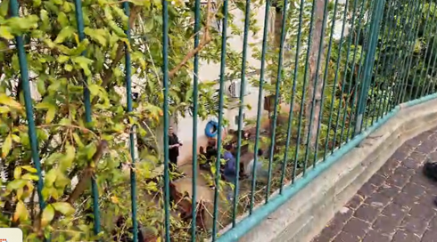 חשד לרצח והתאבדות: אם ובנה נמצאו ללא רוח חיים בבית ביקנעם עילית