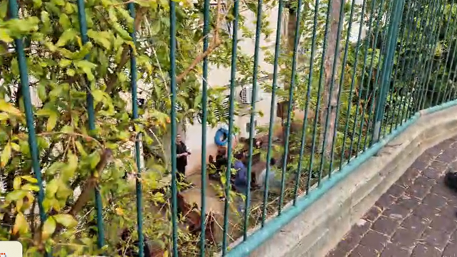 זירת המקרה
