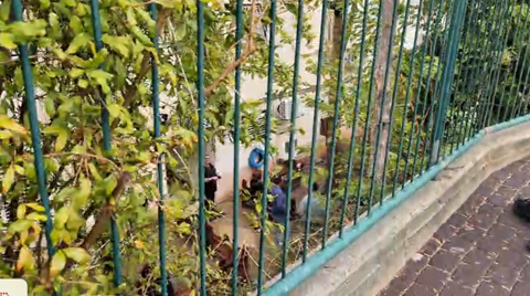 זירת המקרה