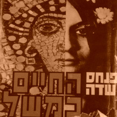 'החיים כמשל' מאת פנחס שדה