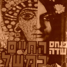 כריכת הספר 'החיים כמשל'