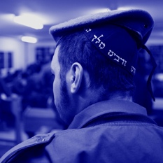 חיות כיס חוק הגיוס 250324
