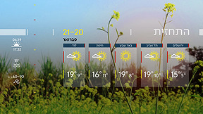 התחזית | 20.02.24