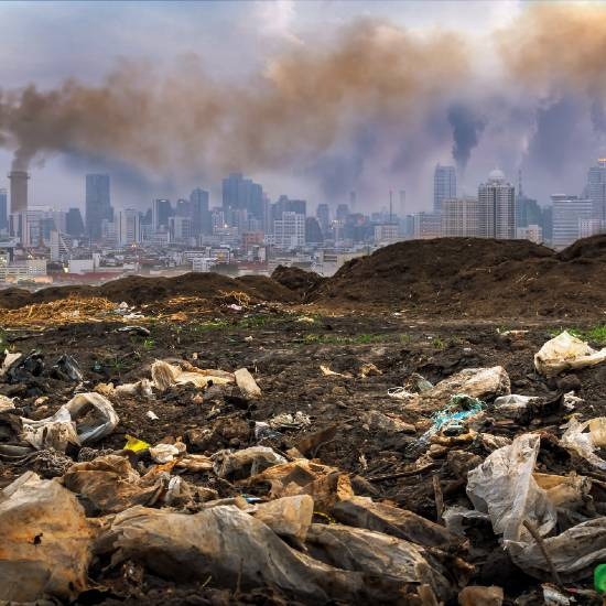 La situación del planeta: Entrevista al activista ecológico Guillermo Anderson