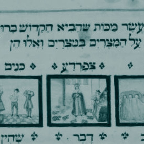 לדם היו המים: מכות מצרים בזמן הזה