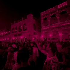 cat29472_img3167848.jpg