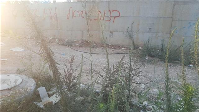 כתובות הנאצה שרוססו על הקירות בכפר קאסם