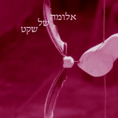 כריכת הספר "אלומה של שקט", חגי ליניק, הוצאת פחם