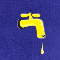 חיות כיס