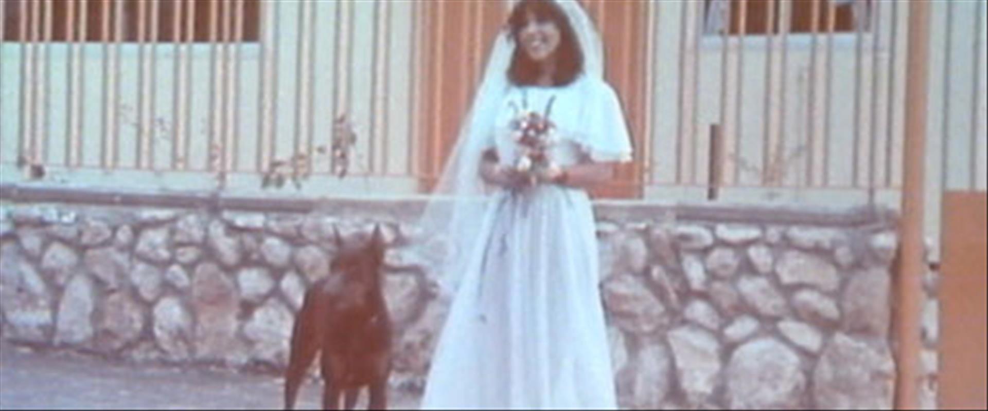 דובי דוברמן, תיקי דיין 1981