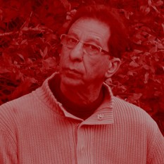 דב ריבוע