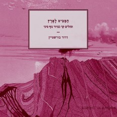 כריכת הספר "המביט לארץ" הוצאת בלימה