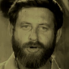אורי זוהר