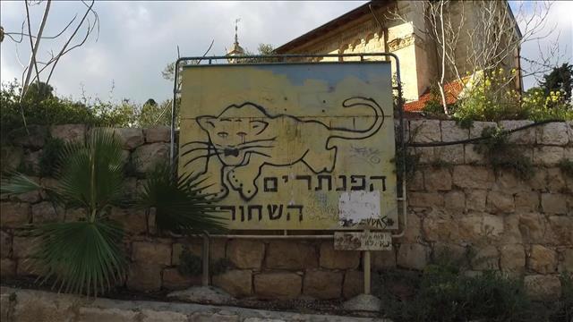 הפנתרים השחורים. אלון שרביט 11.03.21