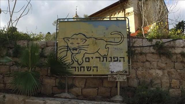 הפנתרים השחורים. אלון שרביט 11.03.21