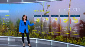 תחזית 7.11