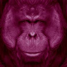 Square 500X500 (320)