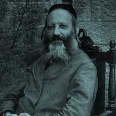 הראי"ה קוק
