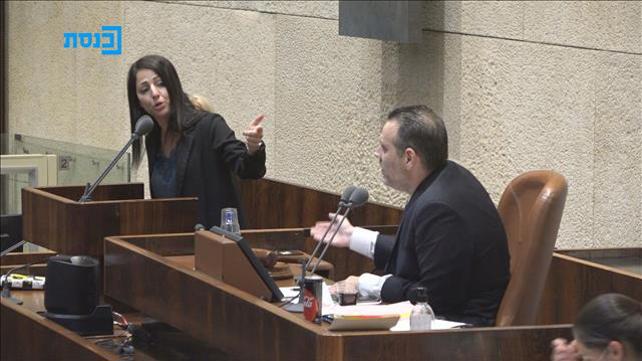 מליאה, מיקי זוהר, ראדיר