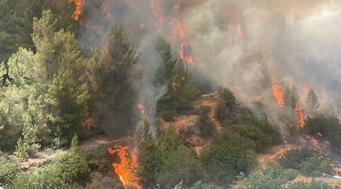 שריפה באזור עין כרם בירושלים, בכבאות נערכים לפנות מוסדות סמוכים
