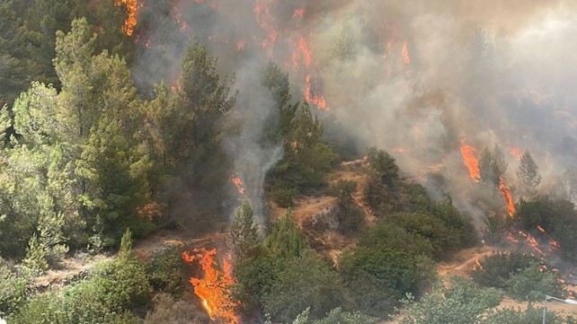 זירת השריפה באזור עין כרם בירושלים