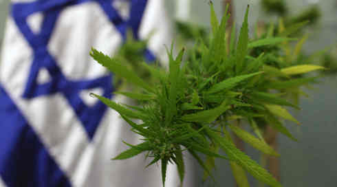 מתקשים עם הביקוש לקנאביס רפואי