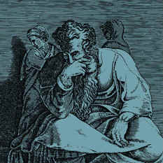 cat18299_img836287812.jpg