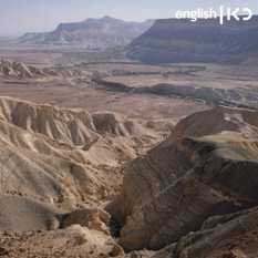 Negev