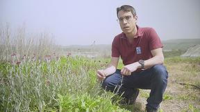 נחום אבניאל
