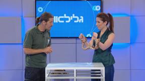 גלילאו | עונה 9 | הנחש הוא אויב? | פרק 40