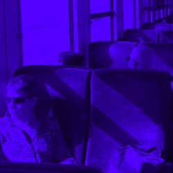 פרק 1: איך חיות כיס נולד