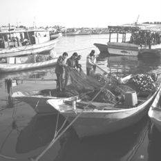 Fishing boats in Gaza port