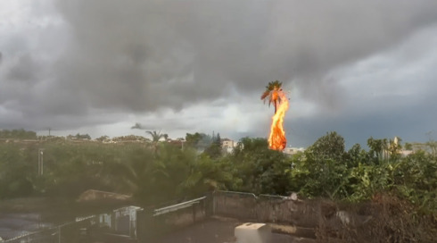 קריסת עמודי חשמל ועצים שעולים באש: החורף פה - וגם ההצפות והסכנות